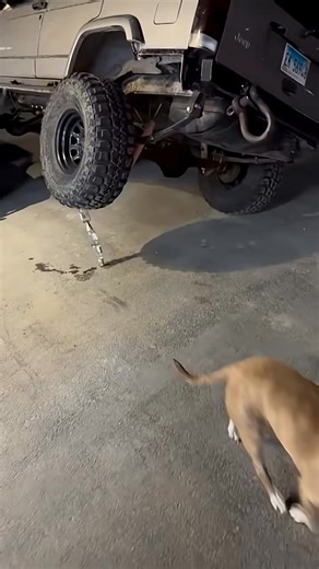 Proof That Magic Is REAL | BitRush | Facebook