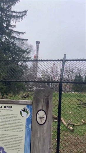Zoo - Wolf enclosure at ZooAmerica #zooamerica #wolf #wolves