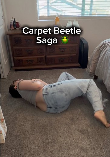 Carpet Beetle Extermination: Will They Ever Go Away? | Mom Life