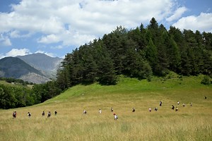 Disparition d’Emile : ces enfants disparus qui ont survécu seuls pendant plusieurs jours