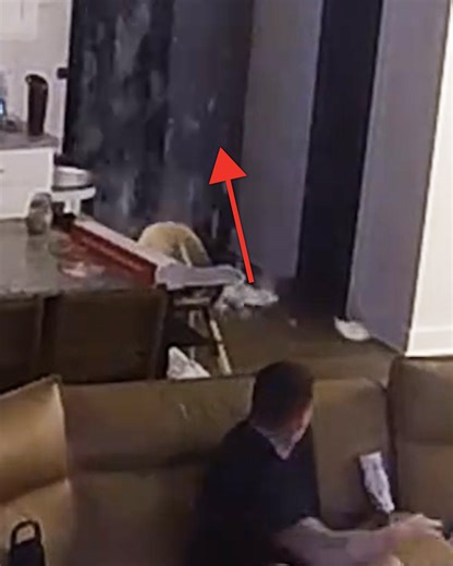 718K views · 3.9K reactions | She fell right through the ceiling  #fail #caughtoncamera #wife | LADbible | Facebook