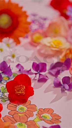 Gift her Coach Dreams this Mother's Day. | Coach | Facebook