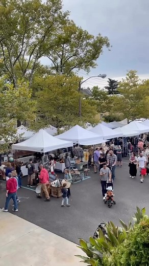 3.7K views · 17 reactions | See you Sunday!!  Find all the...