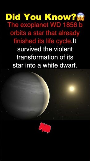 How Did This World Survive the Red Giant? 🔴❓ #space #spacefacts #viralspace #sciencefacts #nasa
