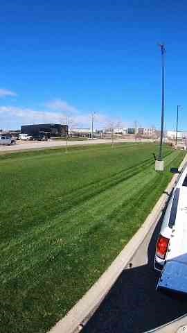 Master Your Lawn: Pro Tips for a Show-Stopping Green Space