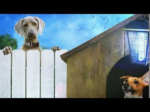 K9 Advantix® II Bug Zapper Commercial :10 - Flea, Tick & Mosquito Treatment for Dogs