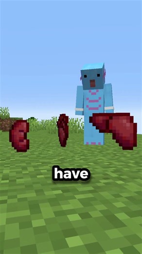 What's inside a villager head