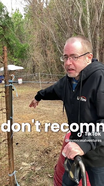 How to cheap garden fence to keep chickens out