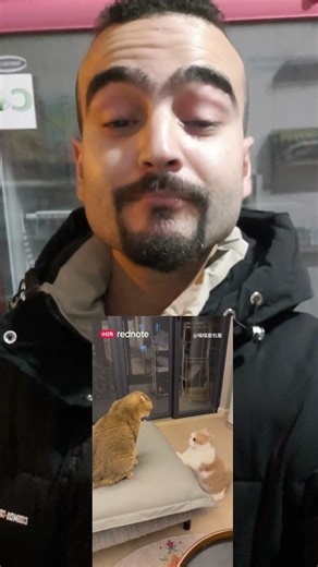 the problem is this glorious app doesn't work in my phone #app #usa #viral #wisdom #europ