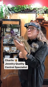 196K views · 1.8K reactions | Charlie, our jewelry quality control specialist, is doing a fantastic job inspecting this wand with utmost precision and attention to detail! ️✨ #qualitycontrol #charliethesquirrel | Todd Alan Gallery | Facebook