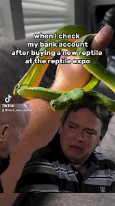 This is why I dont go to expos. #gtp #aru #biak #greentreepython #python #pythons #snake #snakes #snek #reptile #reptiles #reptilesofinstagram #reptilelover #reptilekeeper #pet #pets #daily #instagram #tiktok #reels #cute #fun #happy #ballpythonsoftiktok #boise #idaho #funny #sorong | Black Lake Reptiles