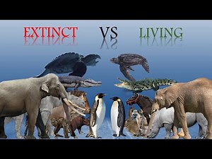 ANIMAL SIZE COMPARISON | LIVING VS EXTINCT
