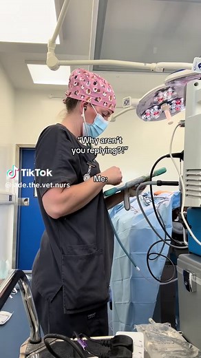 A Day in the Life of a Vet Nurse