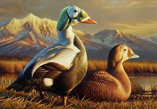 South Dakota artist wins Federal Duck Stamp contest