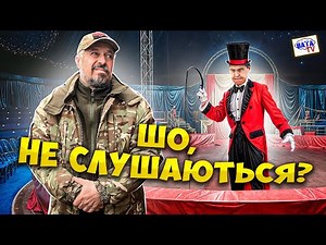 Дипломатична бавовна