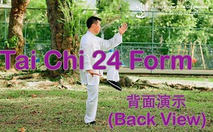 简化24式太极拳 (背面) Tai Chi 24 Form (Back View) : 太极初级套路 Beginner Tai Chi Form