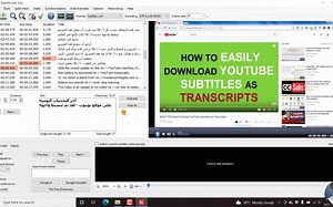 10-使用subtitleEdit将 2 个字幕永久添加到视频中