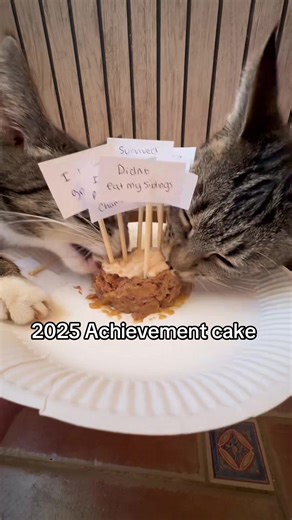 2025 Achievement Cake for Cats Celebration
