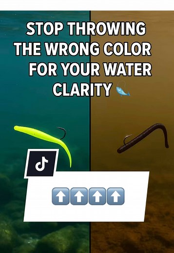 Water Clarity and Fishing: Tips for Better Bites