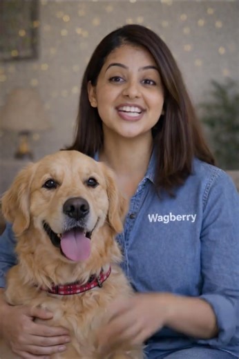 Facts about Golden Retriever