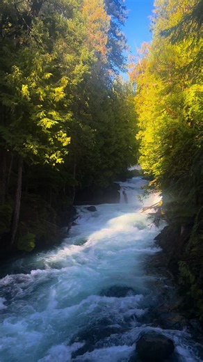 rush. #oregon #pnw #fyp | oregon