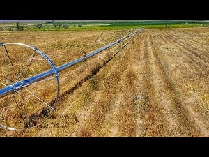 Wheel Line Spring Start-Up