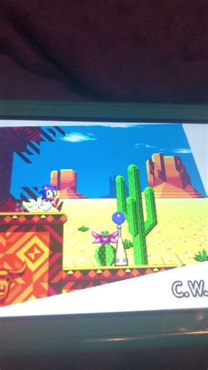 Did I cook? (Sonic CD Sound Test)