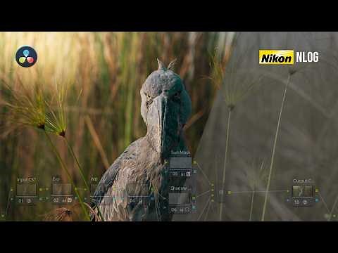 Color Grading NLog Footage in Davinci Resolve - SIMPLIFIED