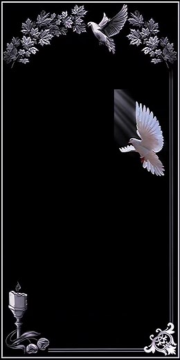 Cuentas recomendadas