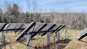 Watch love these solar panels for homes on Amazon Live