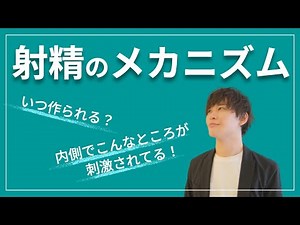 【大人の性教育】射精の仕組みを簡単に解説！精子は熟成、精液はできたてホヤホヤ！