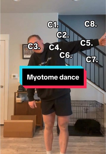 Understanding Myotome Dance for Physical Therapy