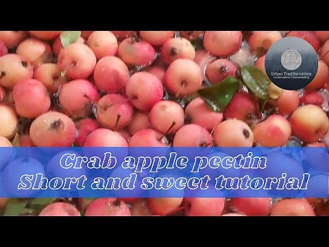 Crab Apple Pectin - Easy Tutorial