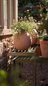 Give your plants the spotlight with our newly launched pot display benches, designed by Julia as part of our Crocus Collection range. These steel benches come in a curved or straight format, and can be used a number of different ways to create varying height pot displays. We also offer a metamorphic pair that can be reconfigured season by season, so your display evolves with your garden. Play with height by mixing pot sizes, tuck a few underneath for a layered look, and let the clean vertical sl