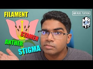 Structure of a Flower