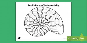 Fossils Pattern Tracing Activity