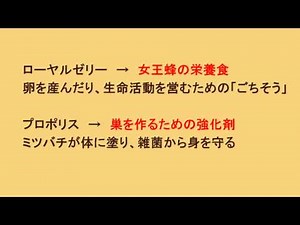 ローヤルゼリーとプロポリス・・・動画で分かりやすい！