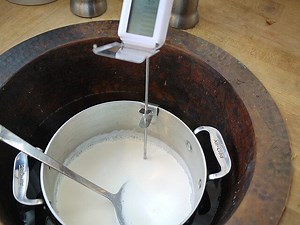 Best Thermometer for Making Yogurt » The Kitchen Professor