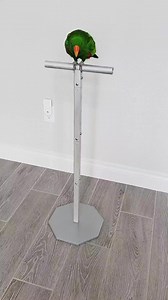 7.8K views · 216 reactions | Gideon wants to show you something!...