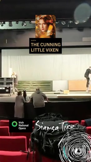 Siamsa Tíre (@siamsa.tire)’s videos with original sound - Siamsa Tíre