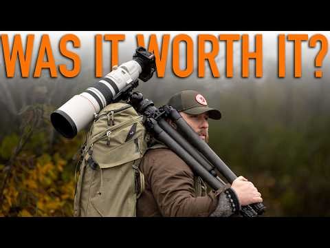 80 Hours. 2 Fox Dens. 1 Documentary