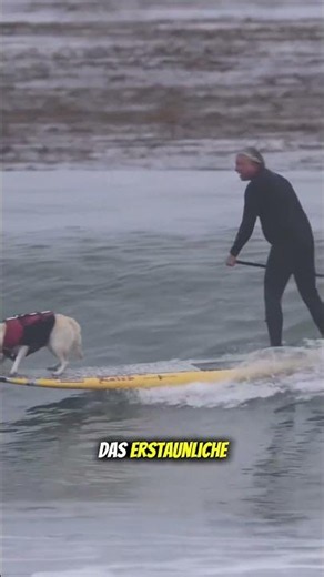 Mann und Hund sind unzertrennlich ❤️