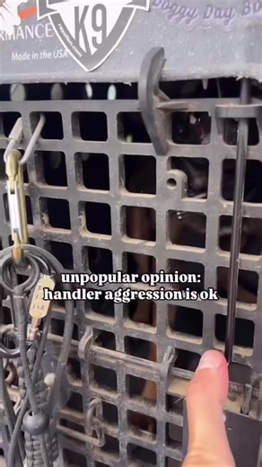 Understanding Aggression in Dog Breeds