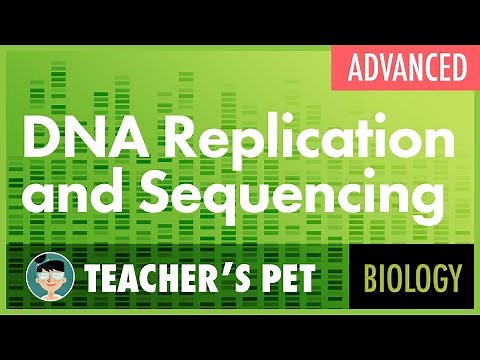 DNA Replication and Sequencing