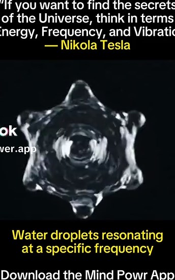 Manifesting Your Dream Life Through Vibration Alignment