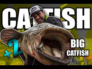 Enorme SILURO +2 al LANCE con VINILO en AMPOSTA