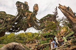 Speak the Na'vi Language on Your Next Visit to Pandora - The World of Avatar | Chip and Company