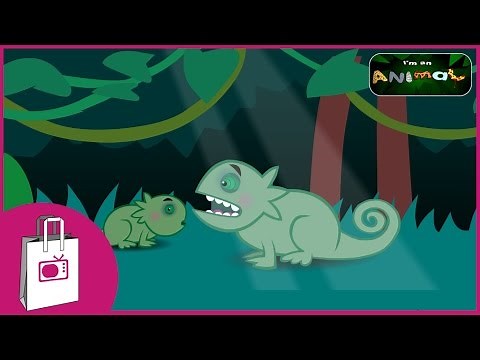 I'm An Animal - I'm a Chameleon