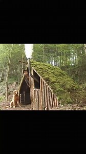 14K views · 213 reactions | Clever Stealth Shelter build ! #asmr #bushcraft #survival #cozy #shelterbuilding | Bushcraft Adventures | Facebook