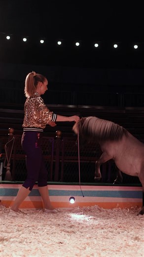 🤩Don’t miss Emma and the gang with The Dog & Pony Show! 🐶🐴 Catch their unforgettable performances during the daytime shows Wednesday through Friday, and both daytime and evening performances on Saturday and Sunday! You won't want to miss this high-energy, fun and cheeky crew! Mark your calendars! 🐶🐴✨ #hoys2025 | Horse of the Year Show